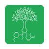 Time4trees logo