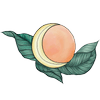 AmberLuna Apothecary logo