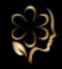 White N Bright Spa & Salon logo