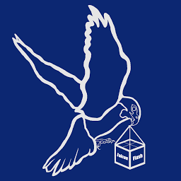 Falconflash logo