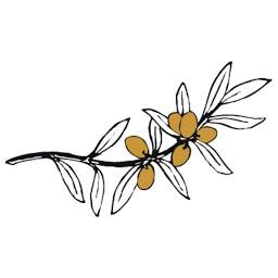 The Olive Oil co logo