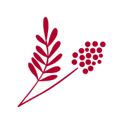 Dignity Insurance logo