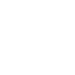 Niolex E-Bikes logo