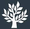 Timber Windows Essex Ltd logo