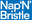 Napnbristle logo