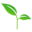 Tamar Fresh logo