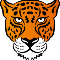 Jaguarplumbing logo