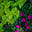 bayandbox.com logo