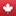 lifc.ca logo