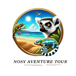 Nosyaventure Tour logo