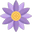 Nourkandi logo