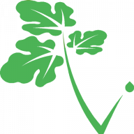 Netervital logo