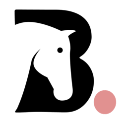 Bridl logo