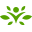 Swanson Vitamins logo