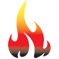The Fire Safety Company logo