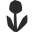 groundworkcoffee.com logo