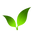 Pure Medicanna CBD logo