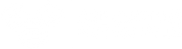ASE CUSTOM MOTORCYCLES logo