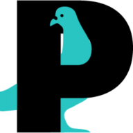 Direct Solar Care logo