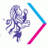 Insight Investigations logo