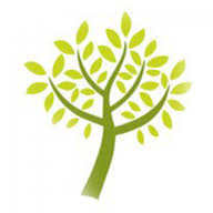 Aylings Garden Centre & Tea Room logo