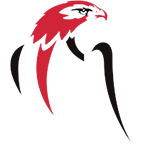 falconinstallations.co.uk logo