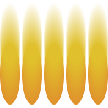Feature Radiators logo