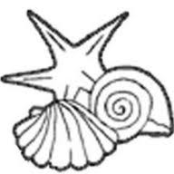 SWN-Y-MOR logo