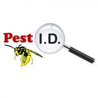 Pestid logo