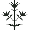 Thyme logo