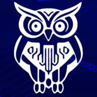 Bubo IT Services logo