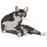 Petdecorart logo