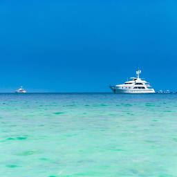 Yachts in Paradise logo