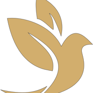 Swift Biz Connect logo
