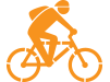VeloBrands logo