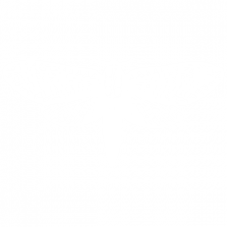 Noisy Post logo