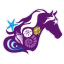 Cponies Beach Horseback rides logo