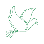 Emiranhealthcare logo