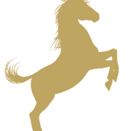 Douglas Steers & Company logo