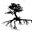 Trees of Antiquity logo