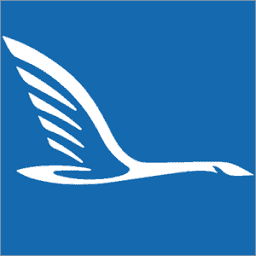 Northern Lite logo
