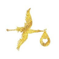 Precious Delivery logo
