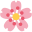 MagicKnickerShop logo