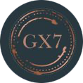 GX7 SERVICES LTD logo