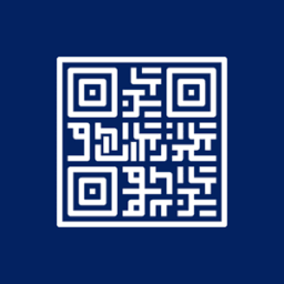 Blindspot Global logo