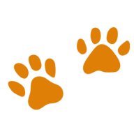 Automotive logo