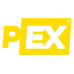 Priorityexpress logo