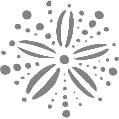 Ocean Echo logo