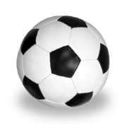 Soccer Village logo