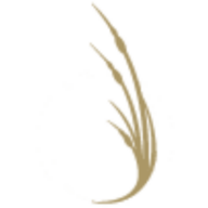 icona.com logo